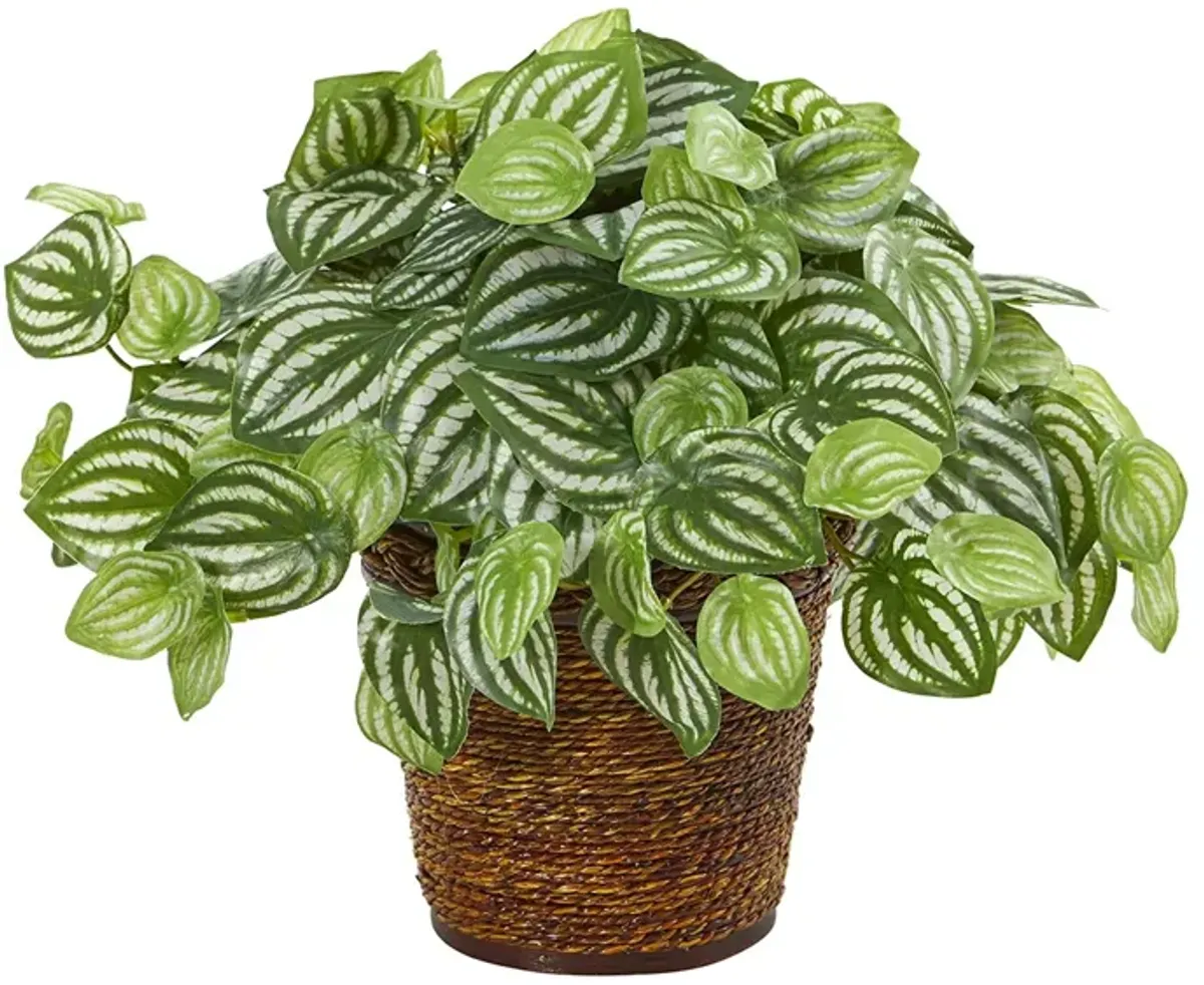 Watermelon Peperomia Artificial Plant in Basket in Green by Bellanest