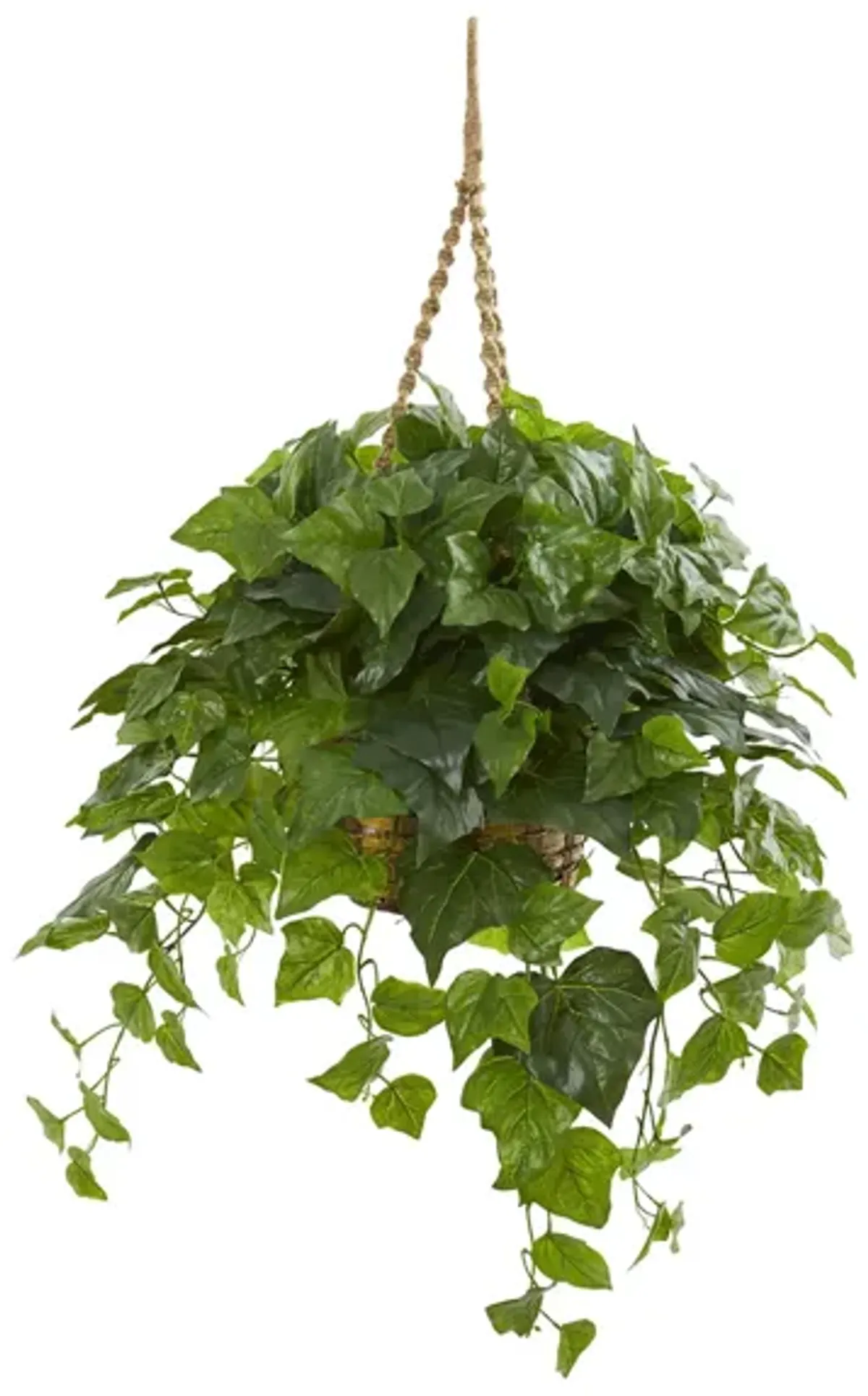 London Ivy Artificial Plant in Hanging Basket in Green by Bellanest