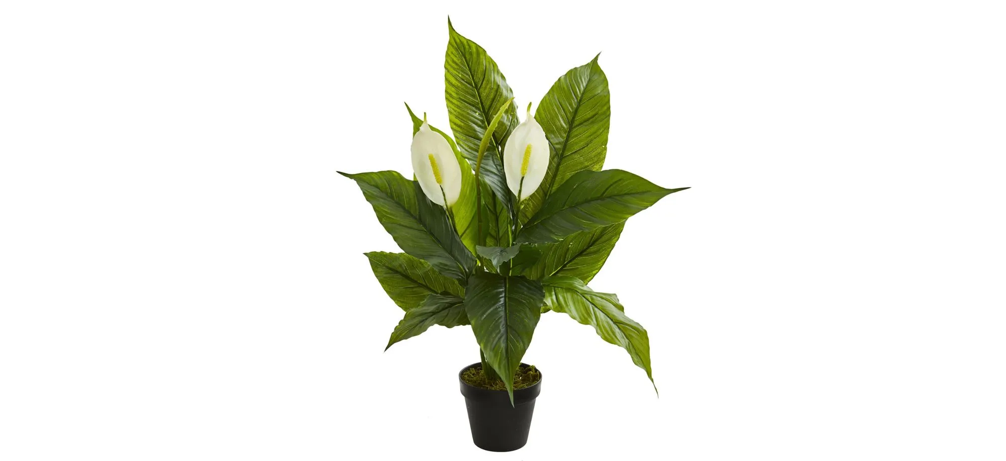 Spathiphyllum Artificial Plant in Green by Bellanest