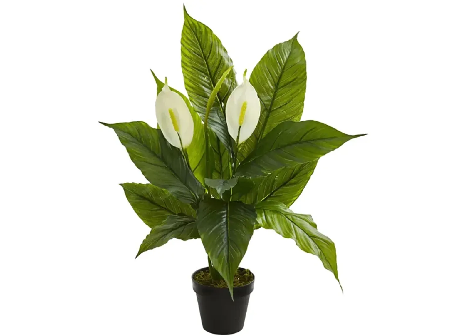 Spathiphyllum Artificial Plant in Green by Bellanest