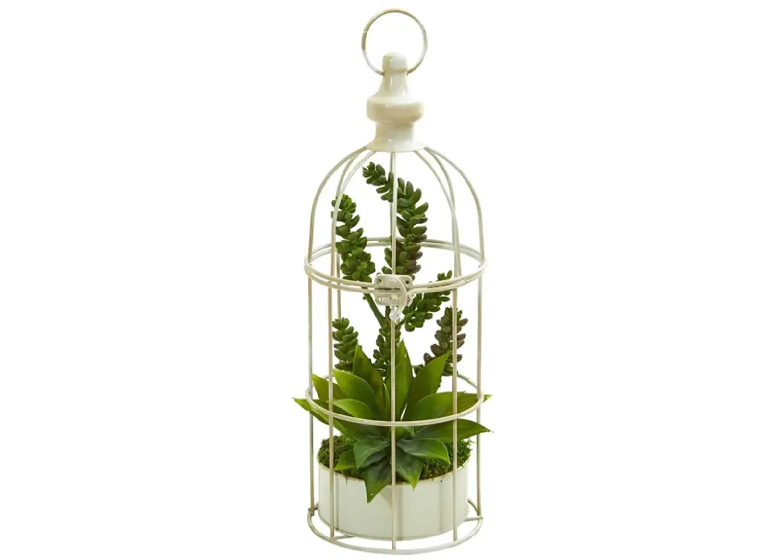 Succulent Garden Artificial Plant in Birdcage in Green by Bellanest