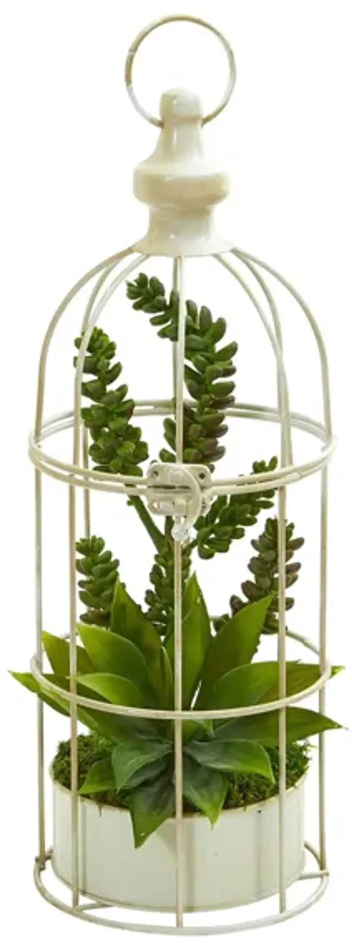 Succulent Garden Artificial Plant in Birdcage in Green by Bellanest