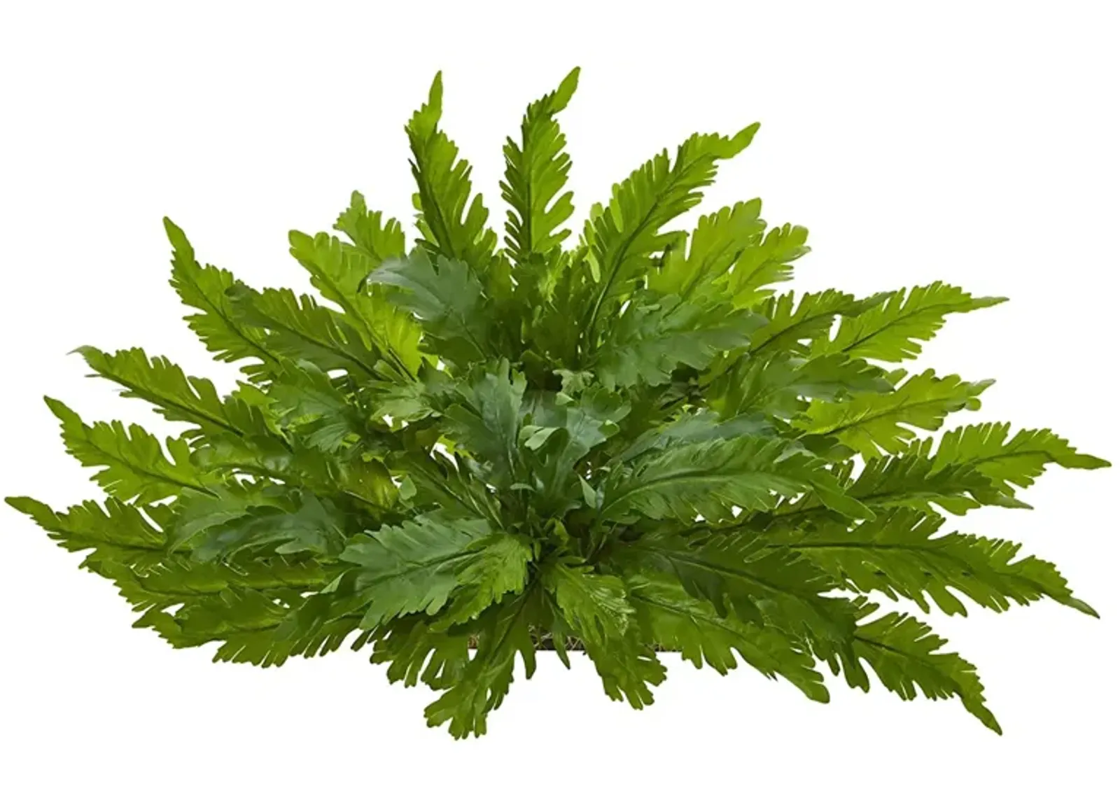 Fern Artificial Ledge Plant in Green by Bellanest