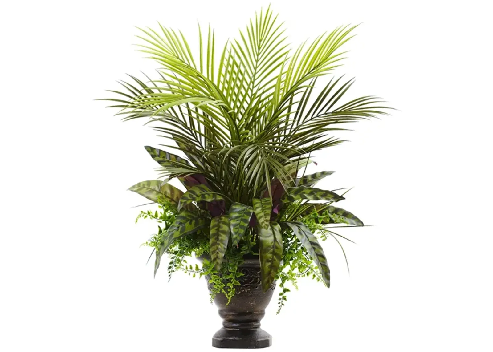 Mixed Areca Palm, Fern & Peacock with Planter