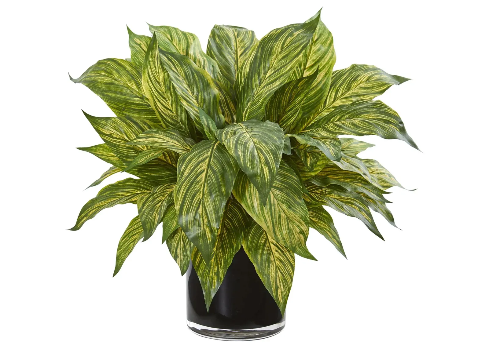 Musa Leaf Artificial Plant in Glossy Black Vase in Green by Bellanest