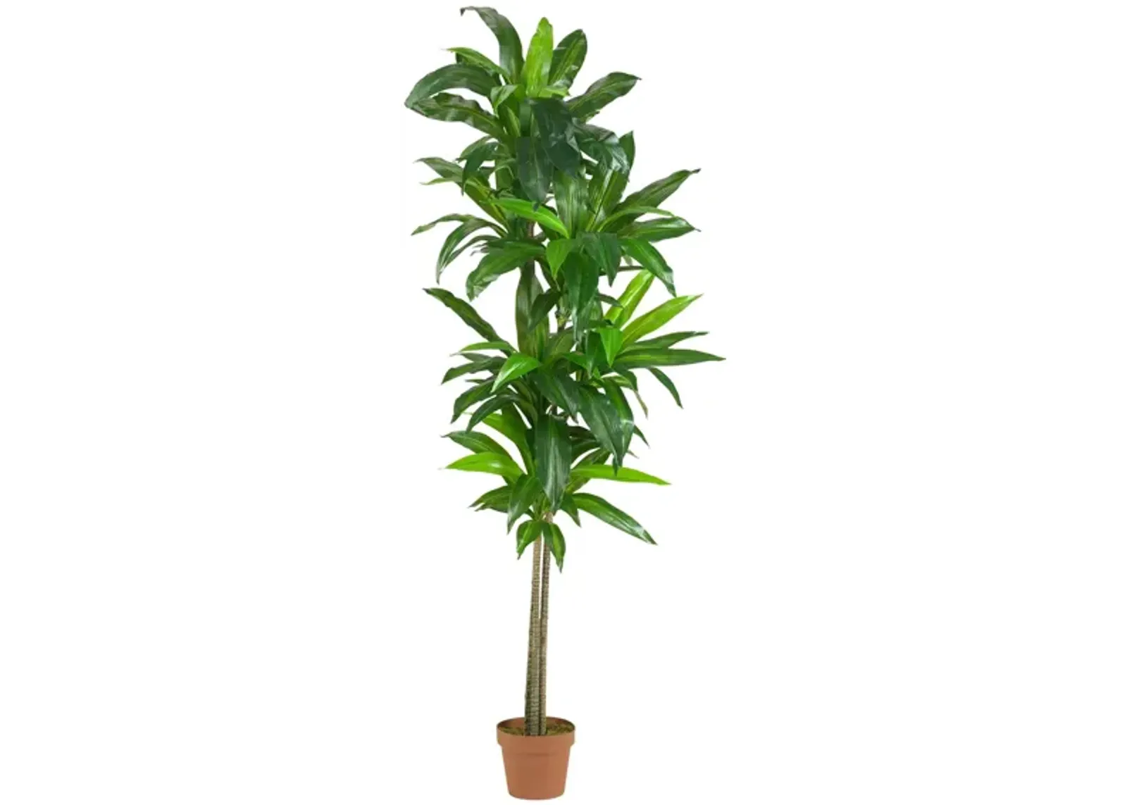 Dracaena Silk Plant in Green by Bellanest