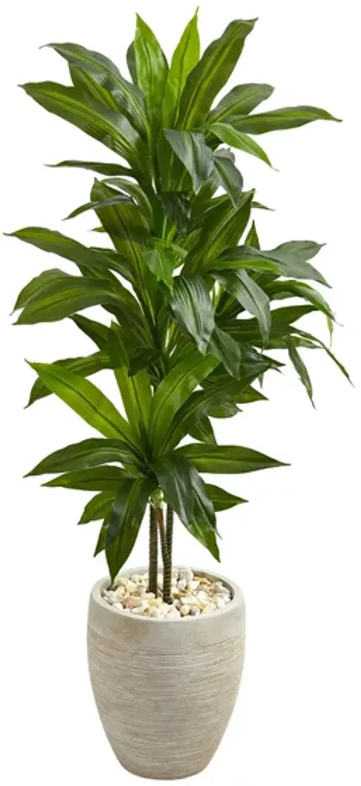 Dracaena Artificial Plant in Sand Colored Planter in Green by Bellanest