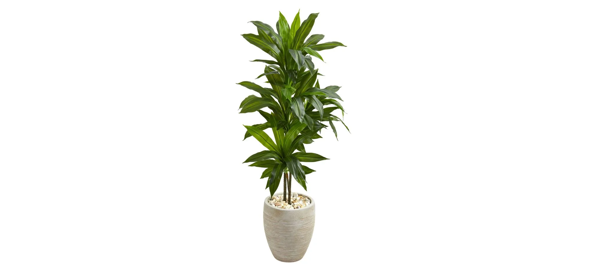 Dracaena Artificial Plant in Sand Colored Planter in Green by Bellanest