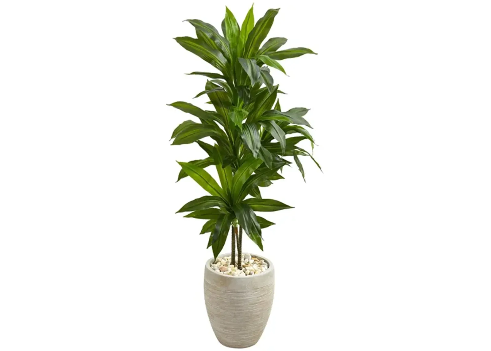 Dracaena Artificial Plant in Sand Colored Planter in Green by Bellanest