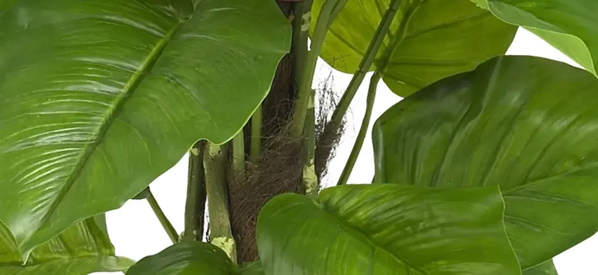 Large Leaf Philodendron Silk Plant