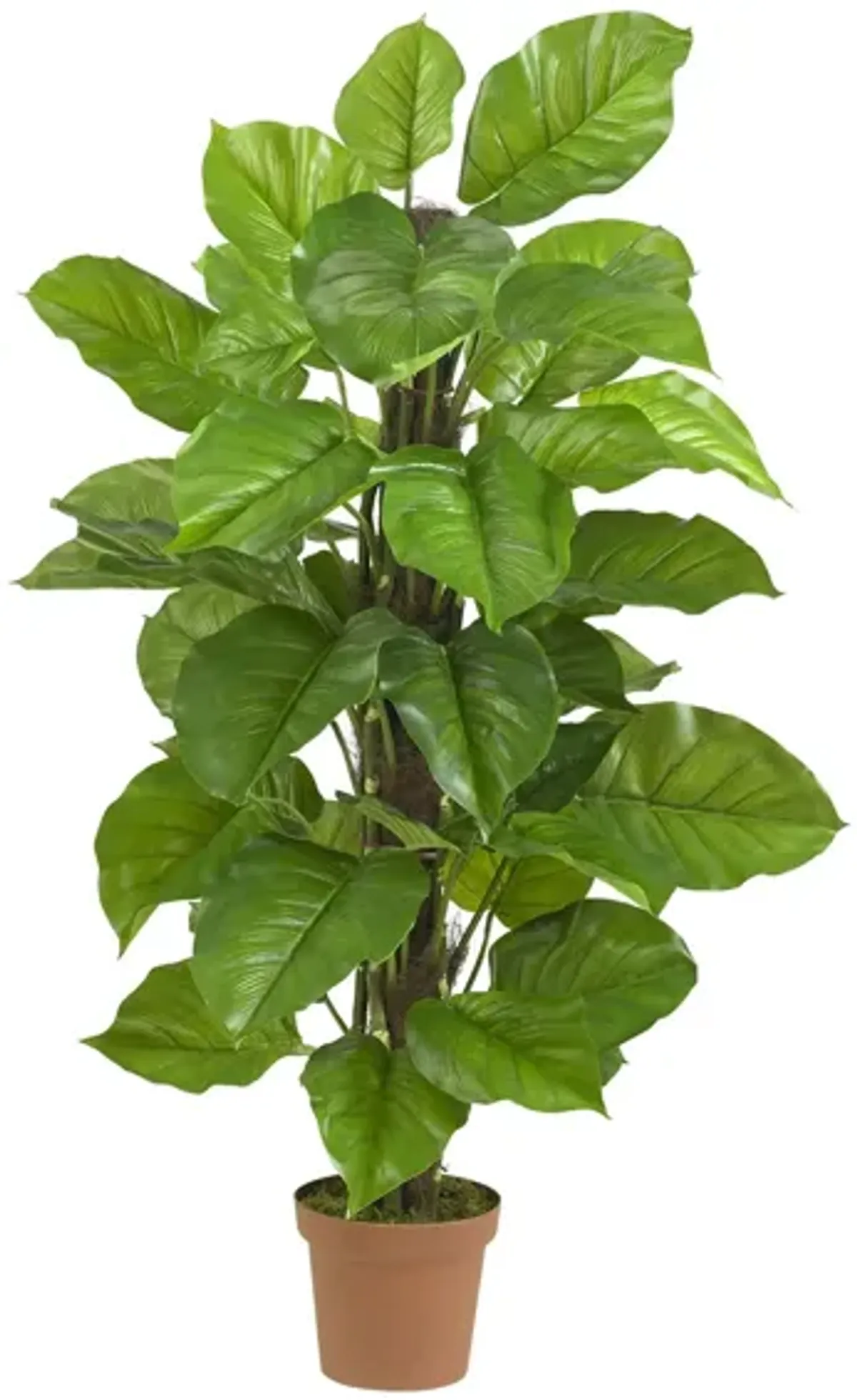Large Leaf Philodendron Silk Plant