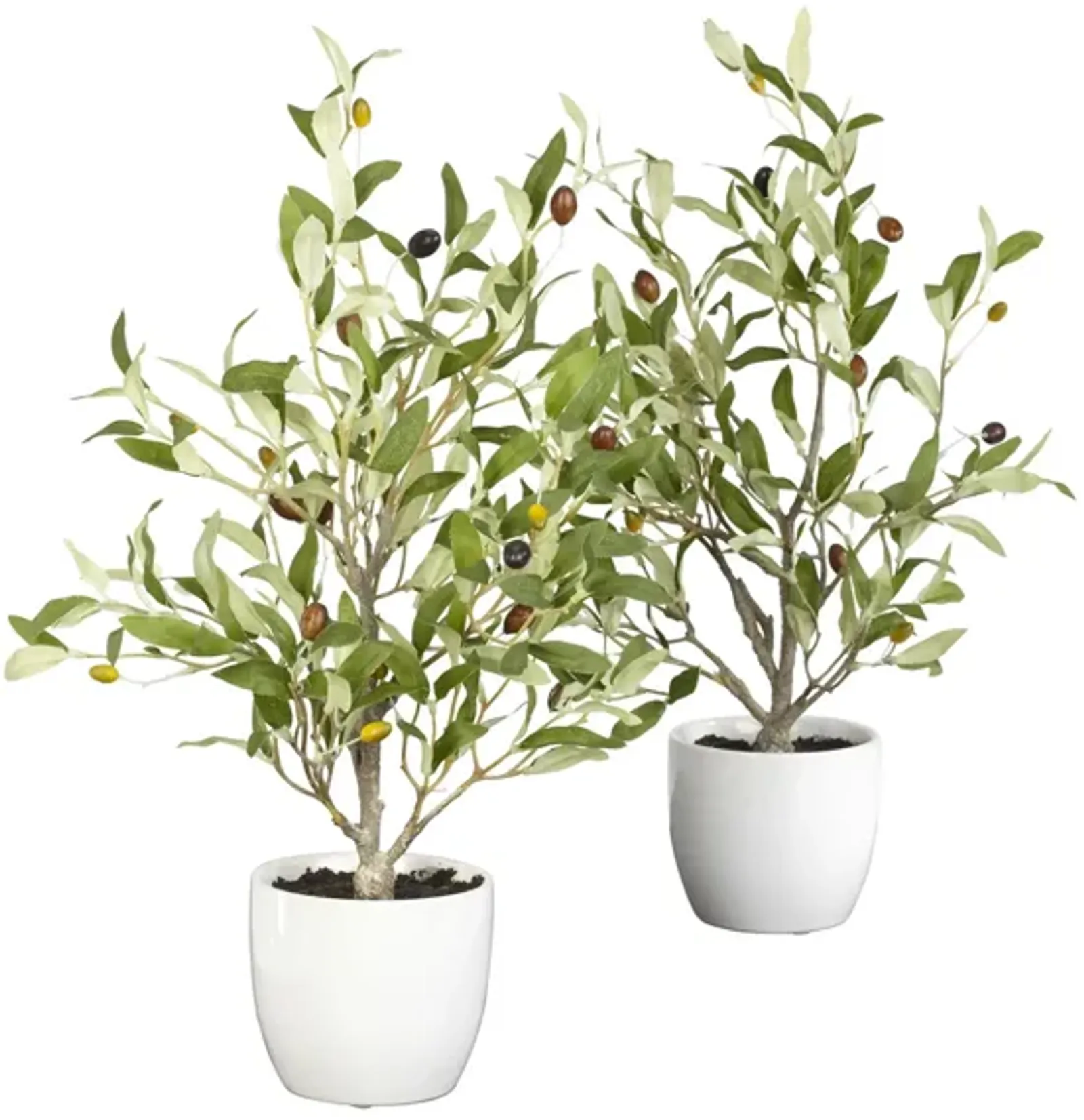 Olive Silk Tree with Vase: Set of 2