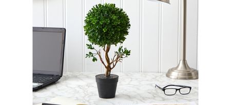 Boxwood Topiary Artificial Tree UV Resistant (Indoor/Outdoor) in Green by Bellanest