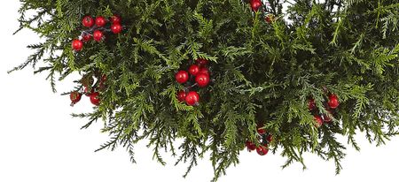 20” Cedar Berry Wreath in Green by Bellanest