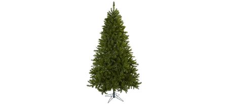 7.5' Windermere Christmas Tree with Clear Lights in Green by Bellanest
