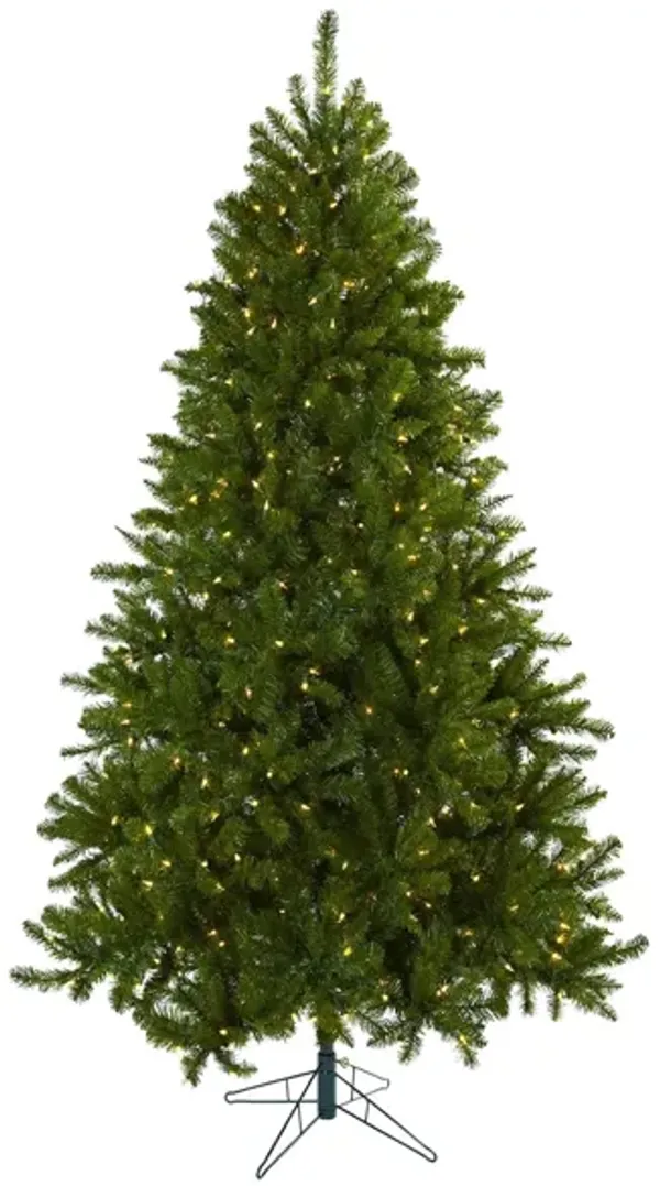 7.5' Windermere Christmas Tree with Clear Lights