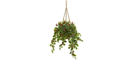 40” Variegated Holly with Berries Artificial Plant in Hanging Basket in Green by Bellanest