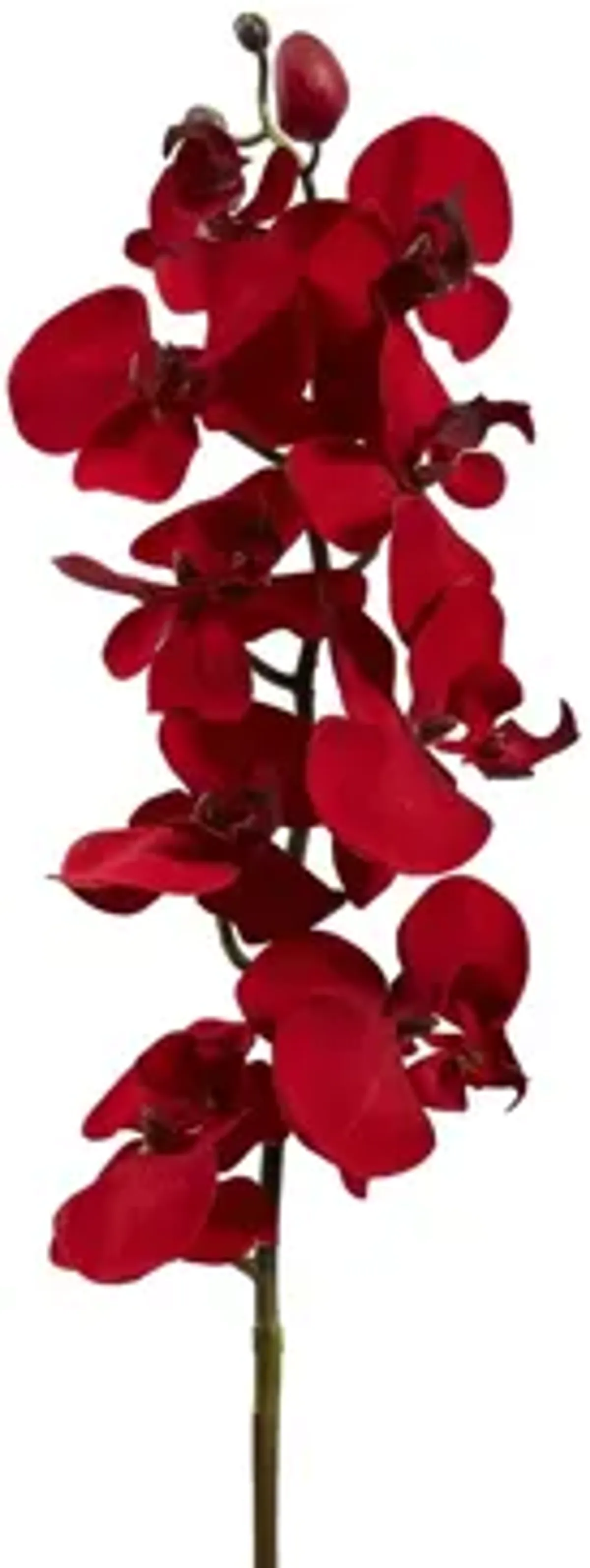 36" Christmas Phalaenopsis Orchid Artificial Flower: Set of 4