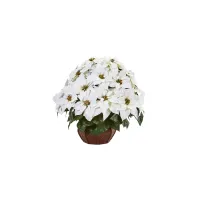 Poinsettia Artificial Arrangement in Decorative Planter in White by Bellanest