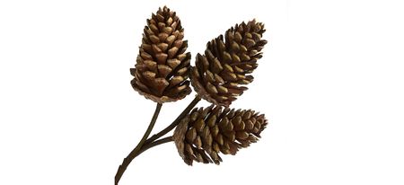 32" Pinecone Artificial Spray: Set of 6 in Brown by Bellanest