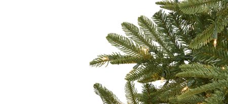 7.5ft. Pre-Lit Layered Washington Spruce Artificial Christmas Tree in Green by Bellanest