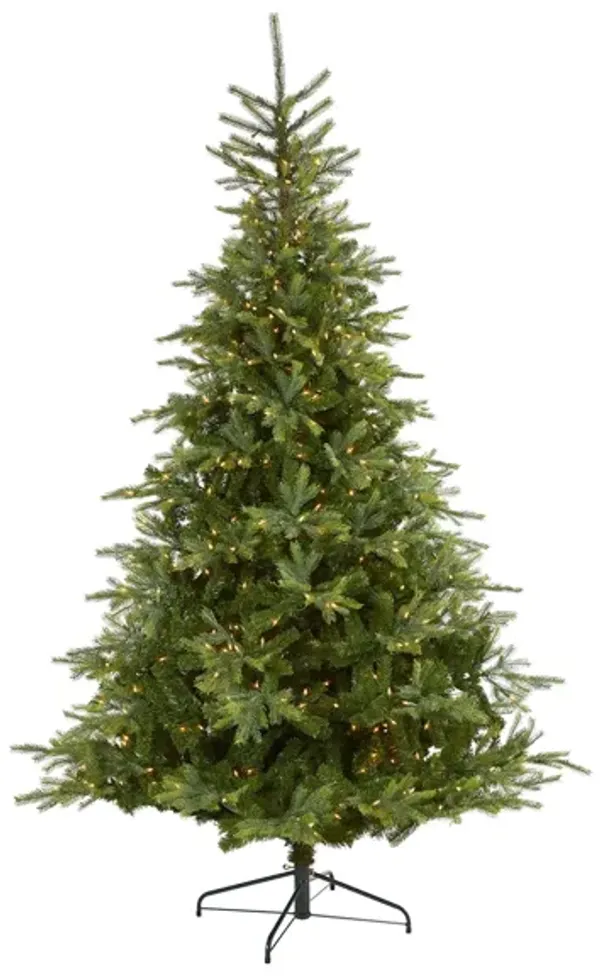 8ft. Pre-Lit North Carolina Spruce Artificial Christmas Tree