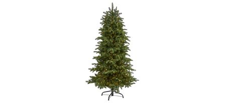 6ft. Pre-Lit South Carolina Fir Artificial Christmas Tree in Green by Bellanest