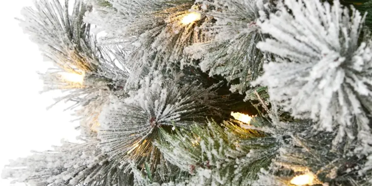 8ft. Pre-Lit Flocked Oregon Pine Artificial Christmas Tree