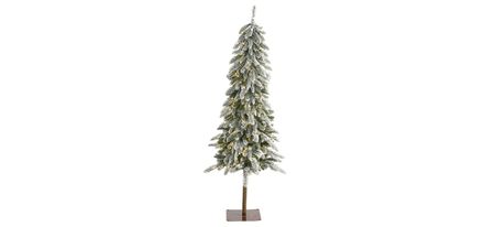 5.5ft. Pre-Lit Flocked Washington Alpine Christmas Artificial Tree in Green by Bellanest