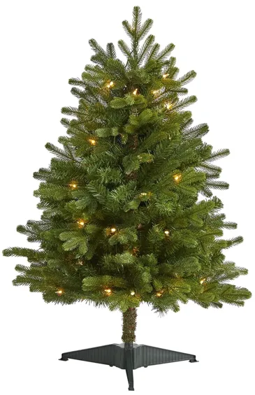 3ft. Pre-Lit Washington Fir Artificial Christmas Tree in Green by Bellanest