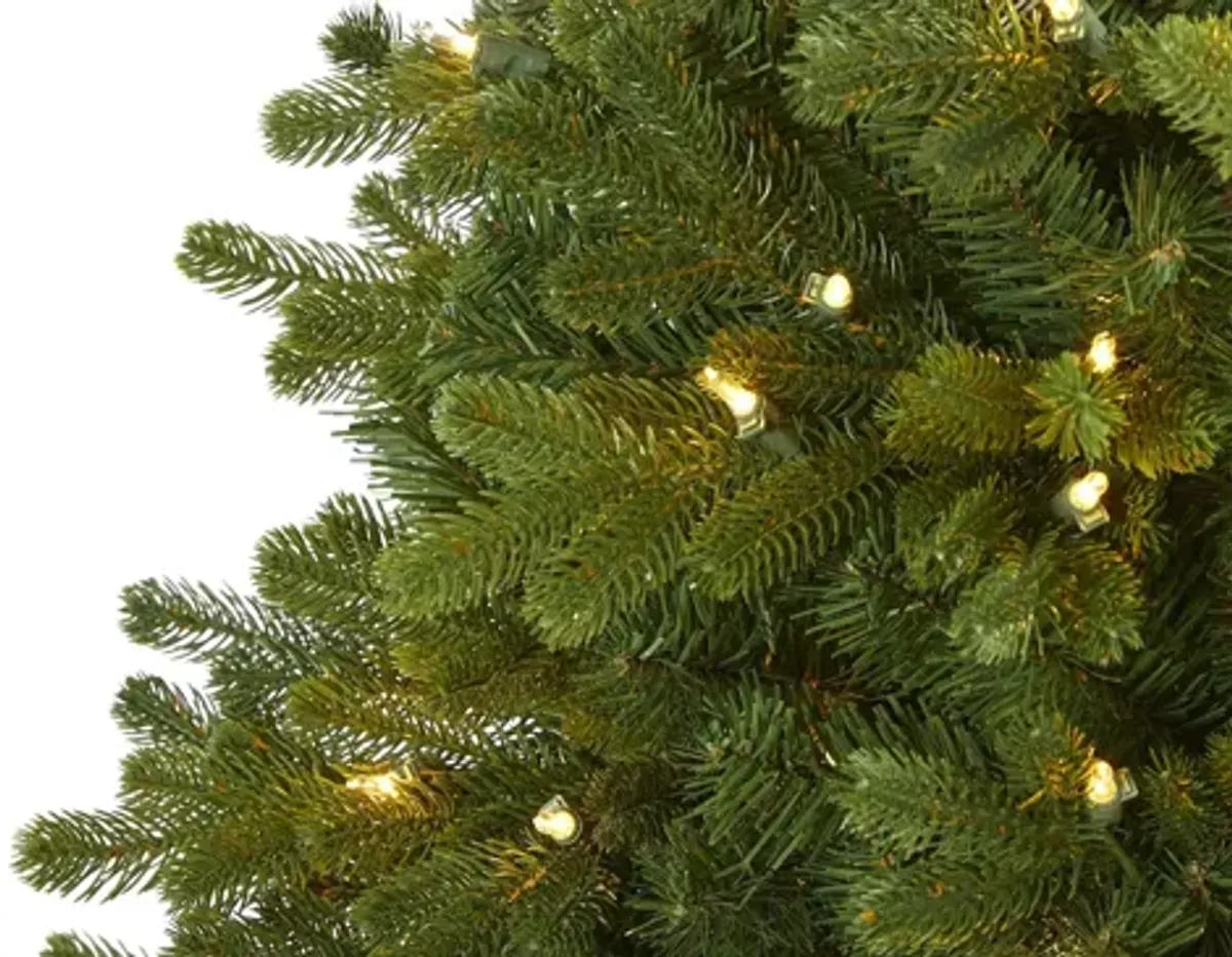 5.5ft. Pre-Lit Washington Fir Artificial Christmas Tree