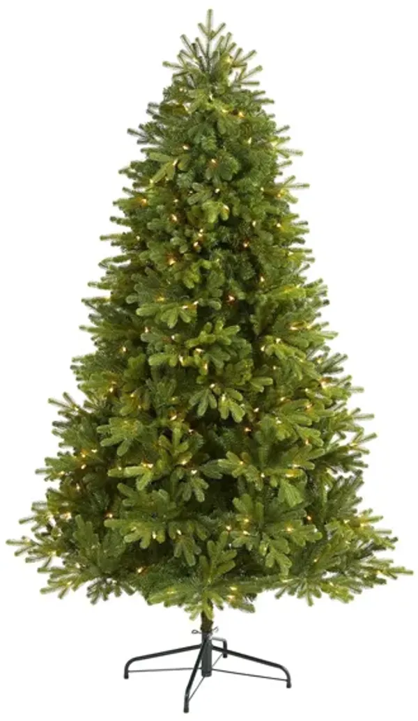 6.5ft. Pre-Lit Washington Fir Artificial Christmas Tree
