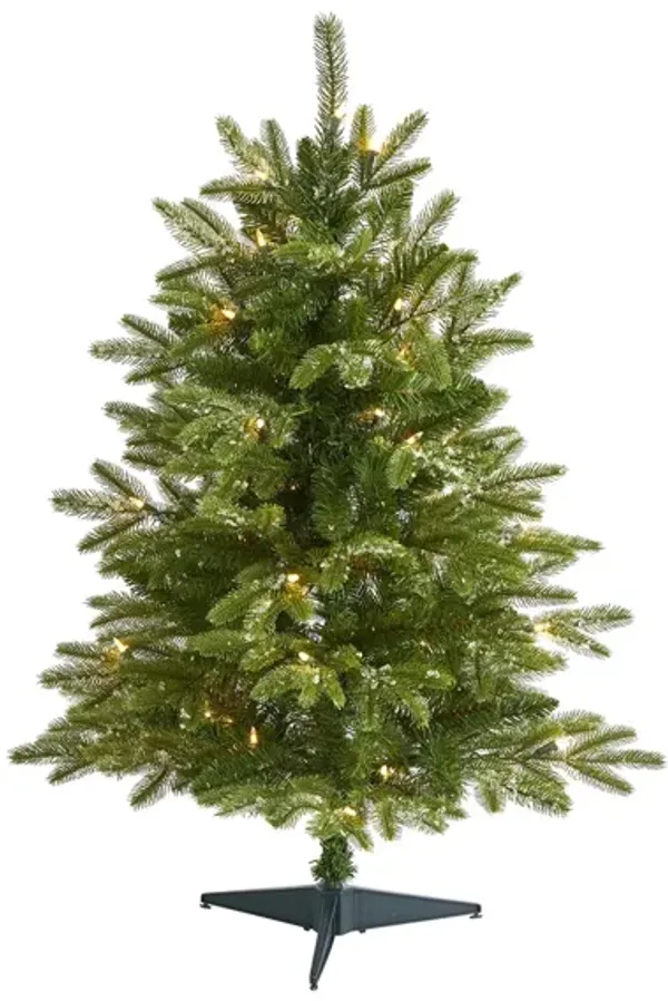 3ft. Pre-Lit Snowed Grand Teton Fir Artificial Christmas Tree