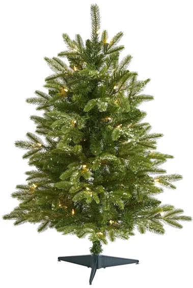 3ft. Pre-Lit Snowed Grand Teton Fir Artificial Christmas Tree in Green by Bellanest