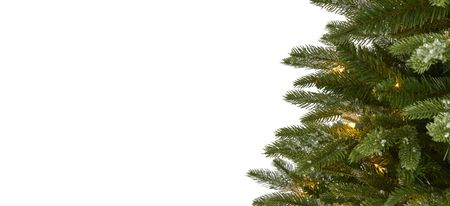 5ft. Pre-Lit Snowed Grand Teton Artificial Christmas Tree in Green by Bellanest