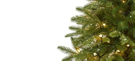 6ft. Pre-Lit Snowed Grand Teton Artificial Christmas Tree in Green by Bellanest