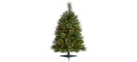 3ft. Pre-Lit Golden Tip Washington Pine Artificial Christmas Tree in Green by Bellanest