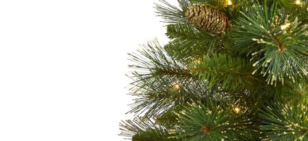 4ft. Pre-Lit Golden Tip Washington Pine Artificial Christmas Tree in Green by Bellanest