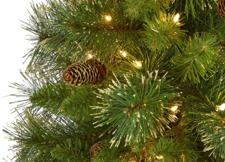 5ft. Pre-Lit Golden Tip Washington Pine Artificial Christmas Tree in Green by Bellanest