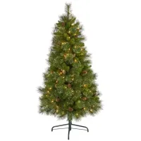 5ft. Pre-Lit Golden Tip Washington Pine Artificial Christmas Tree in Green by Bellanest