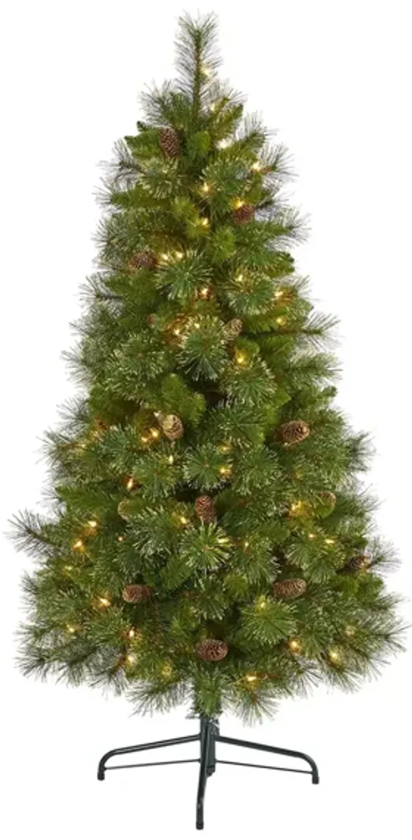 5ft. Pre-Lit Golden Tip Washington Pine Artificial Christmas Tree