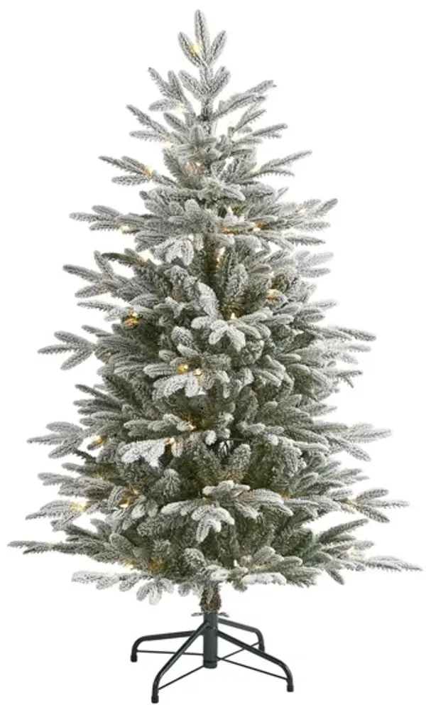 4.5ft. Pre-Lit Flocked Manchester Spruce Artificial Christmas Tree