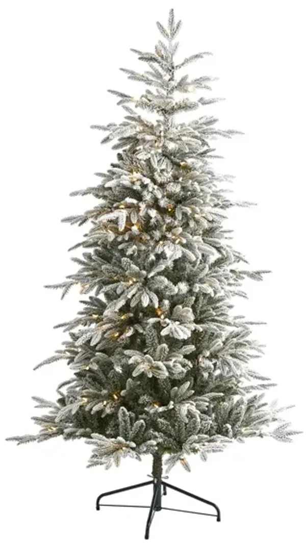 6.5ft. Pre-Lit Flocked Manchester Spruce Artificial Christmas Tree