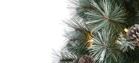 3ft. Pre-Lit Frosted Tip British Columbia Mountain Pine Artificial Christmas Tree in Green by Bellanest