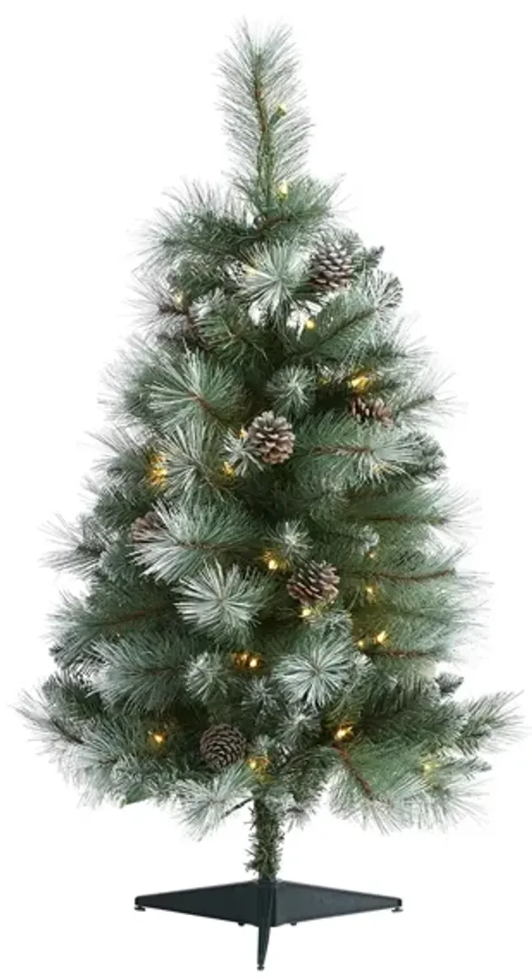 3ft. Pre-Lit Frosted Tip British Columbia Mountain Pine Artificial Christmas Tree