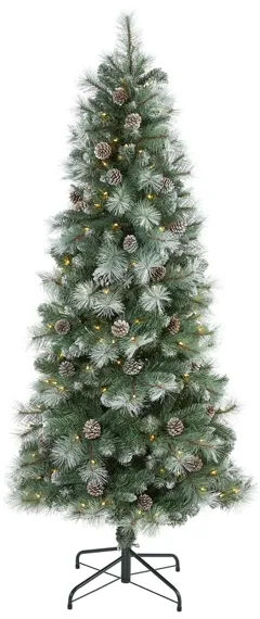 6ft. Pre-Lit Frosted Tip British Columbia Mountain Pine Artificial Christmas Tree in Green by Bellanest