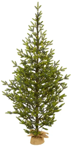 6ft. Pre-Lit Fraser Fir Artificial Christmas Tree in Green by Bellanest