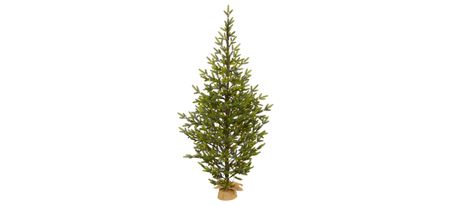 6ft. Pre-Lit Fraser Fir Artificial Christmas Tree in Green by Bellanest