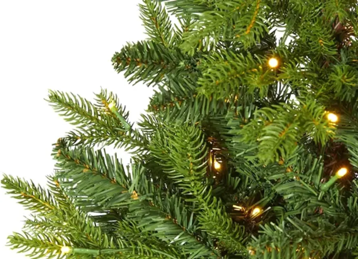 5ft. Pre-Lit Fraser Fir Artificial Christmas Tree