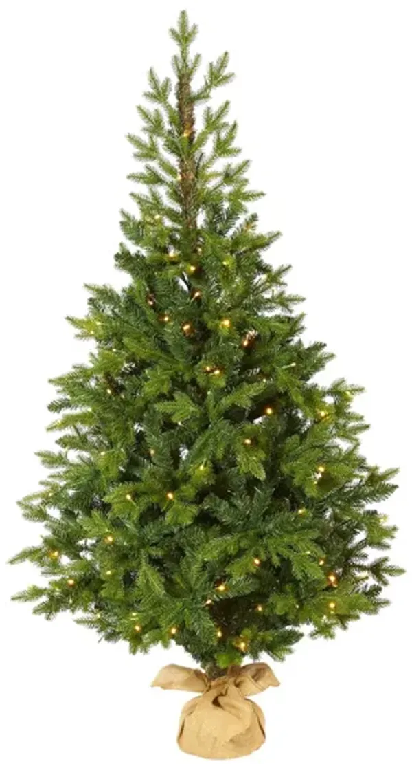 5ft. Pre-Lit Fraser Fir Artificial Christmas Tree